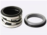 2100型機(jī)械密封1